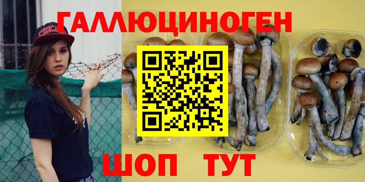 Псилоцибиновые грибы Cubensis  Вход с VPN  Мыски 