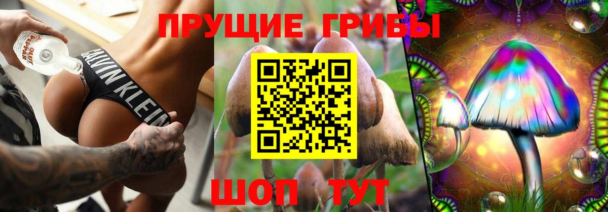 Псилоцибиновые грибы прущие грибы Мыски